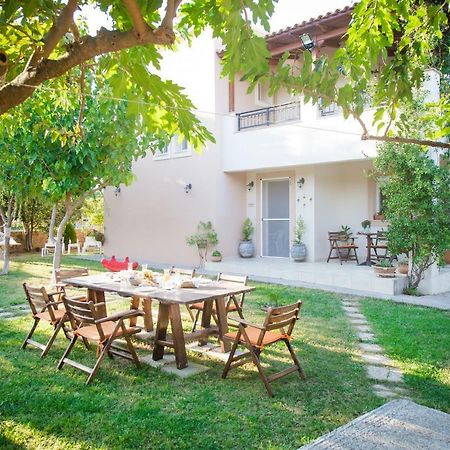 Villa Jasmin Koxare ภายนอก รูปภาพ